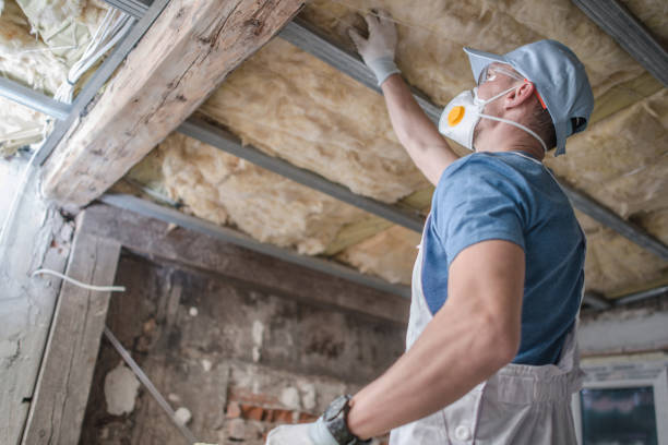 Professional Insulation Contractor in Timpson, TX