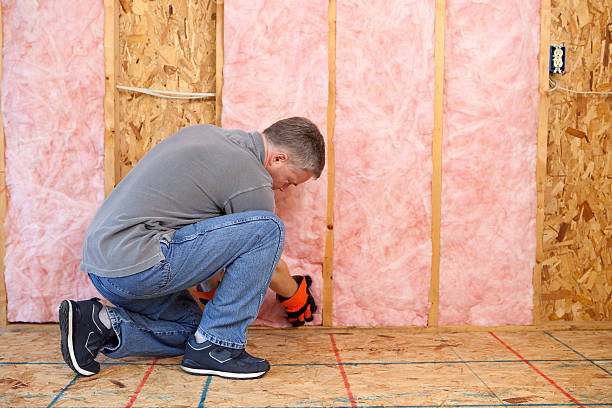 Best Commercial Insulation in Timpson, TX