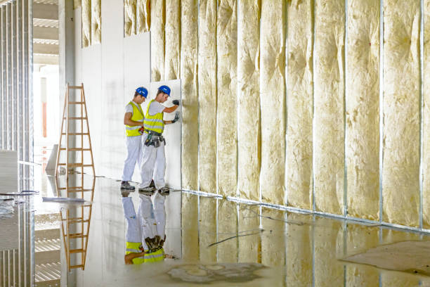 Best DIY Insulation Kits and Guidance in Timpson, TX